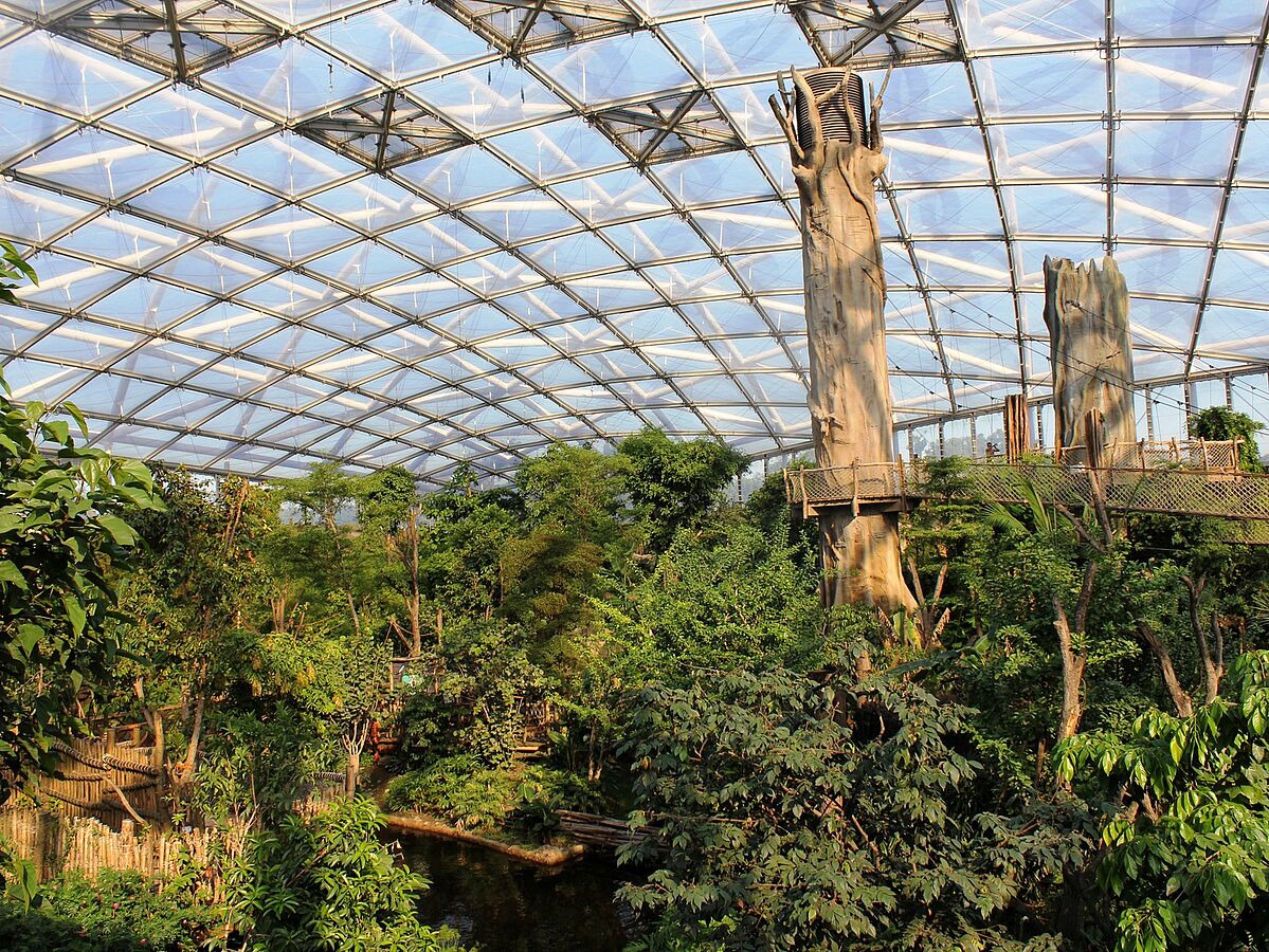 Artenschutz: Zoo Leipzig  unterstützt Erhalt bedrohter Tierarten