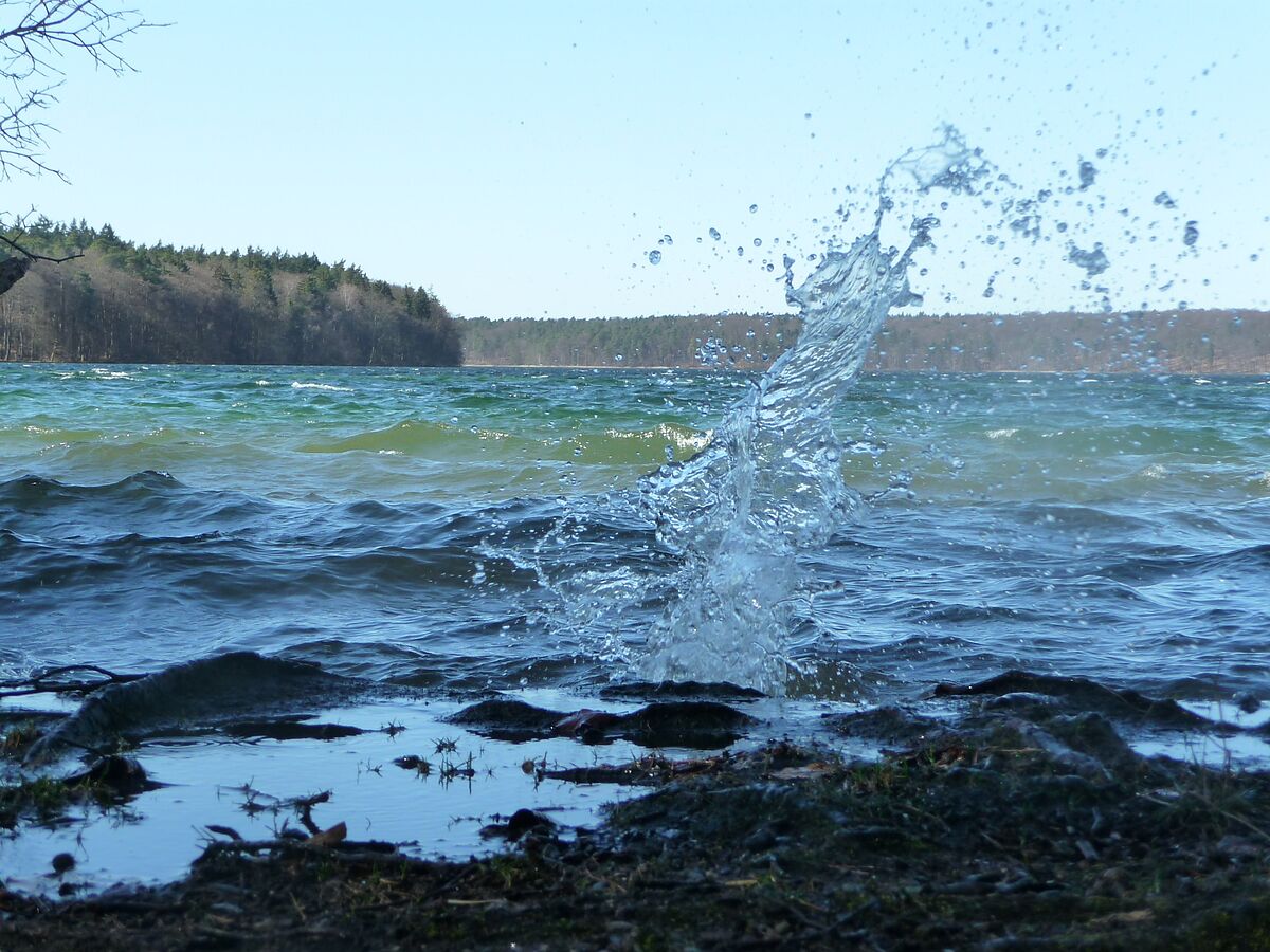„Dialog am Stechlinsee“ bringt Wissenschaftler und Naturschützer zusammen