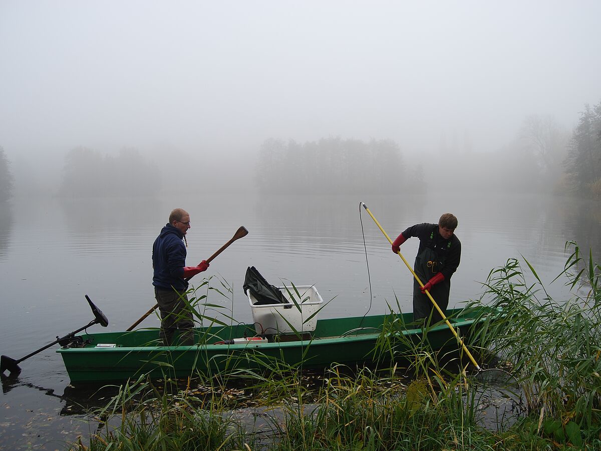 Co-production of environmental knowledge pays large educational dividends for sustainability