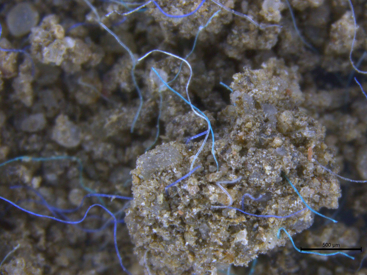 An underestimated threat: land-based pollution with microplastics