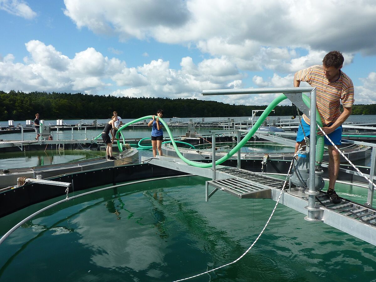 Turbid prospects for pristine lakes