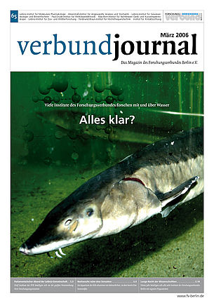 Cover 65/2006