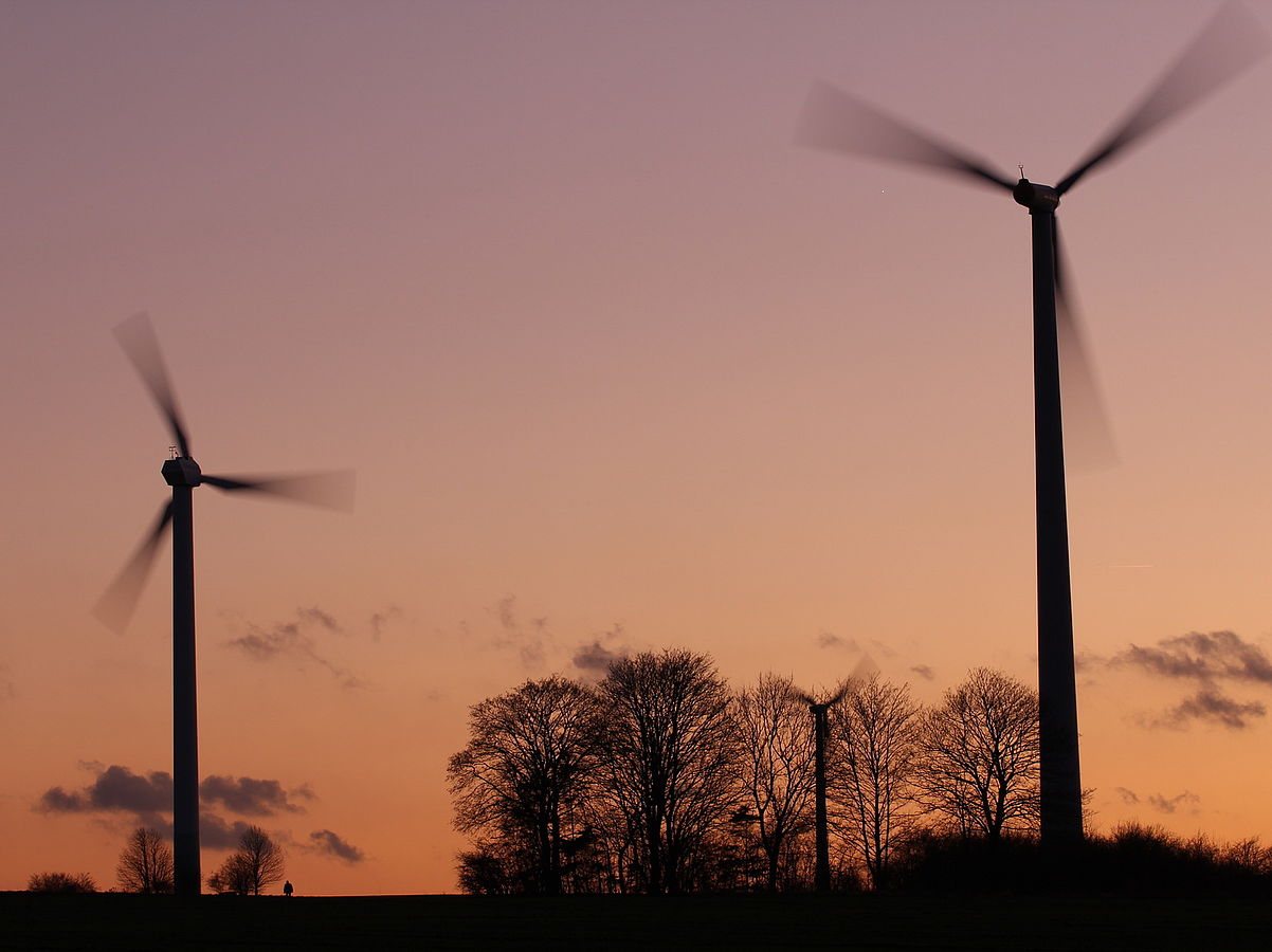 German wind farms kill bats from near and far