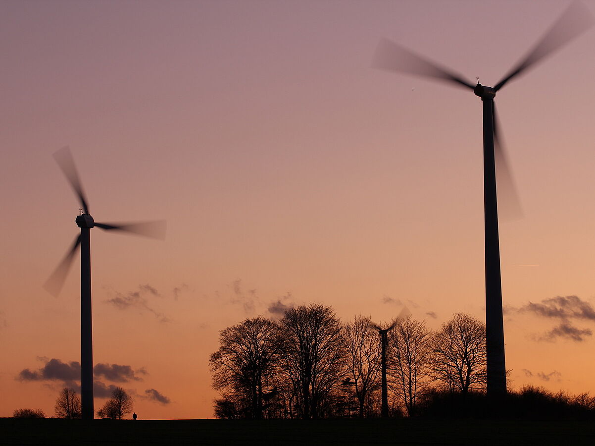 Deutsche Windräder Todesfalle für Fledermäuse aus Nordosteuropa