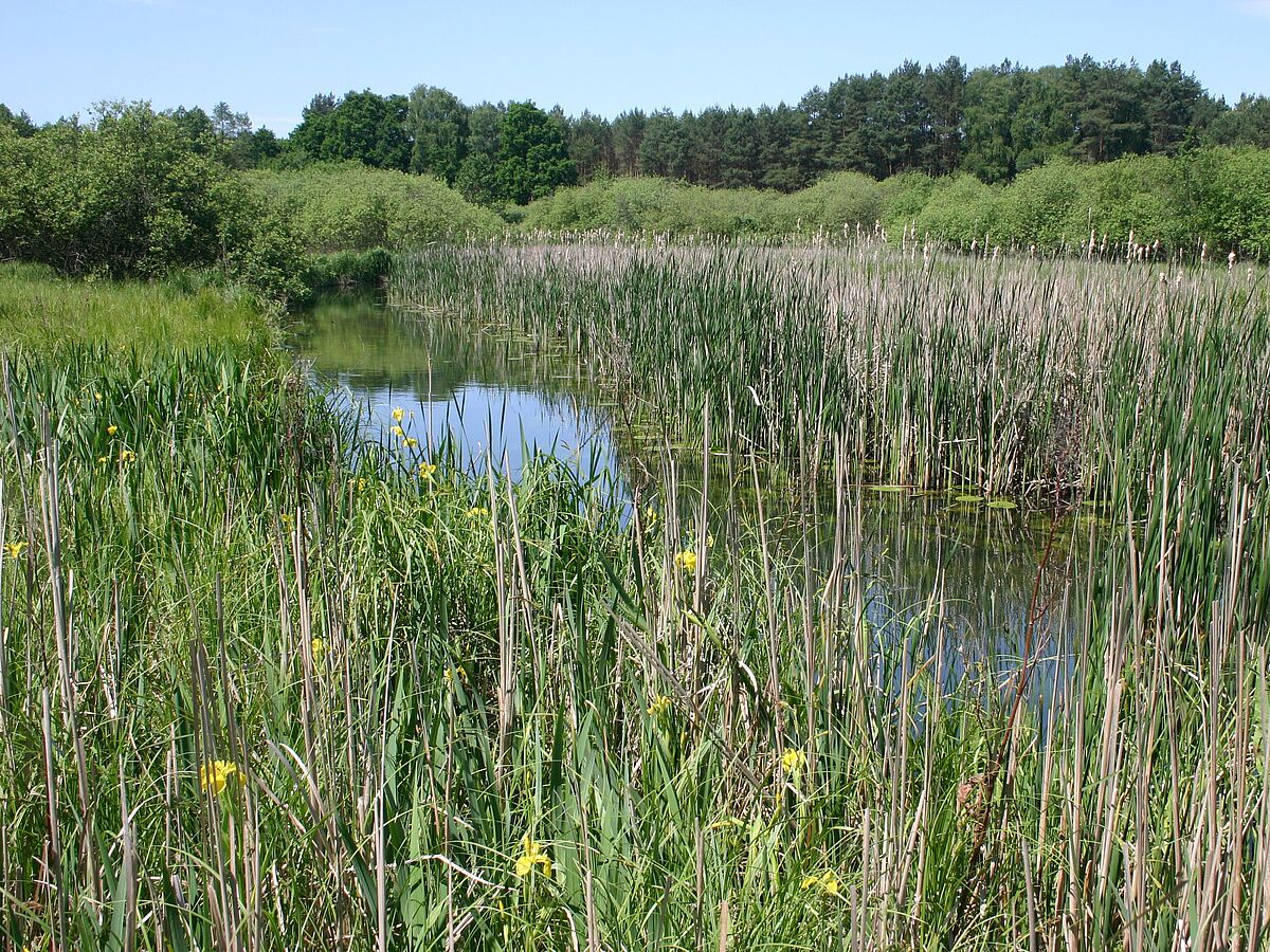 Große Bestandsaufnahme der Natur