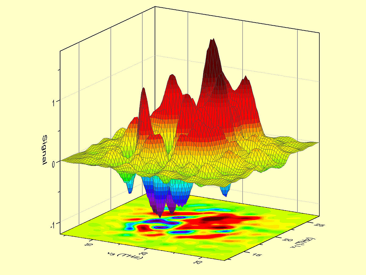 Electrons and Lattice Vibrations—A Strong Team in the Nano World