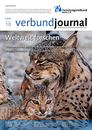 Cover 84/2010