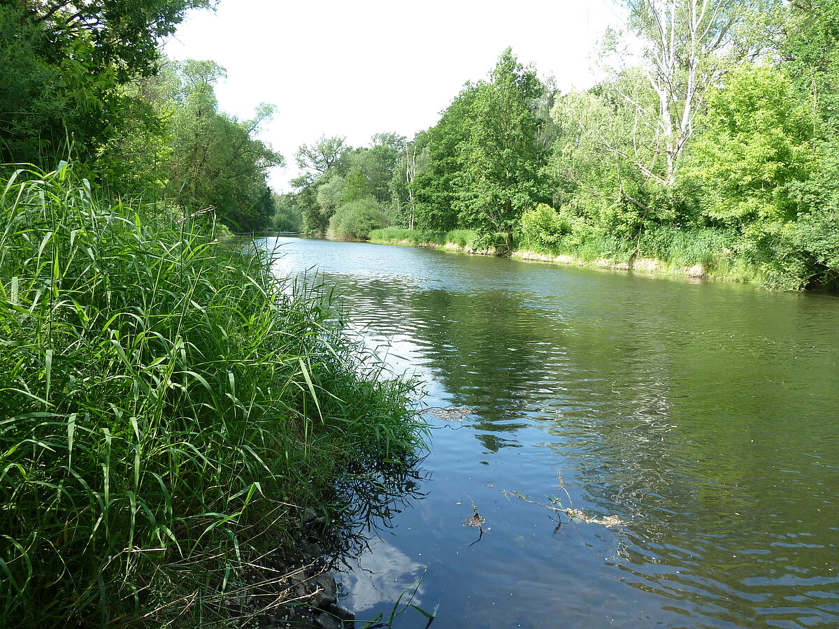 Die Sulfatbelastung der Spree – Ursachen, Wirkungen und aktuelle Erkenntnisse