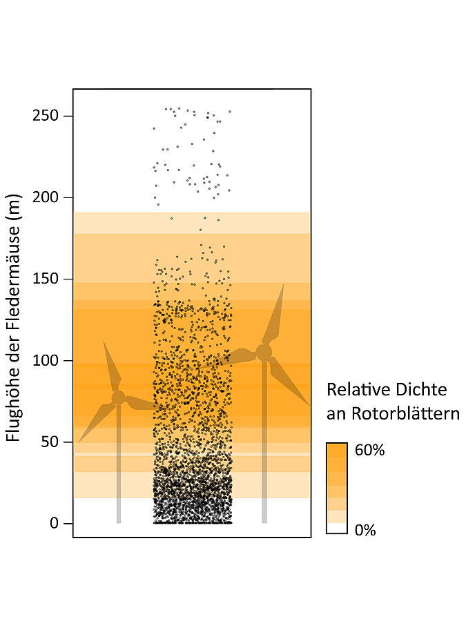 Gefährlicher Flug in den Windpark