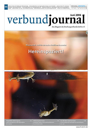 Cover 66/2006