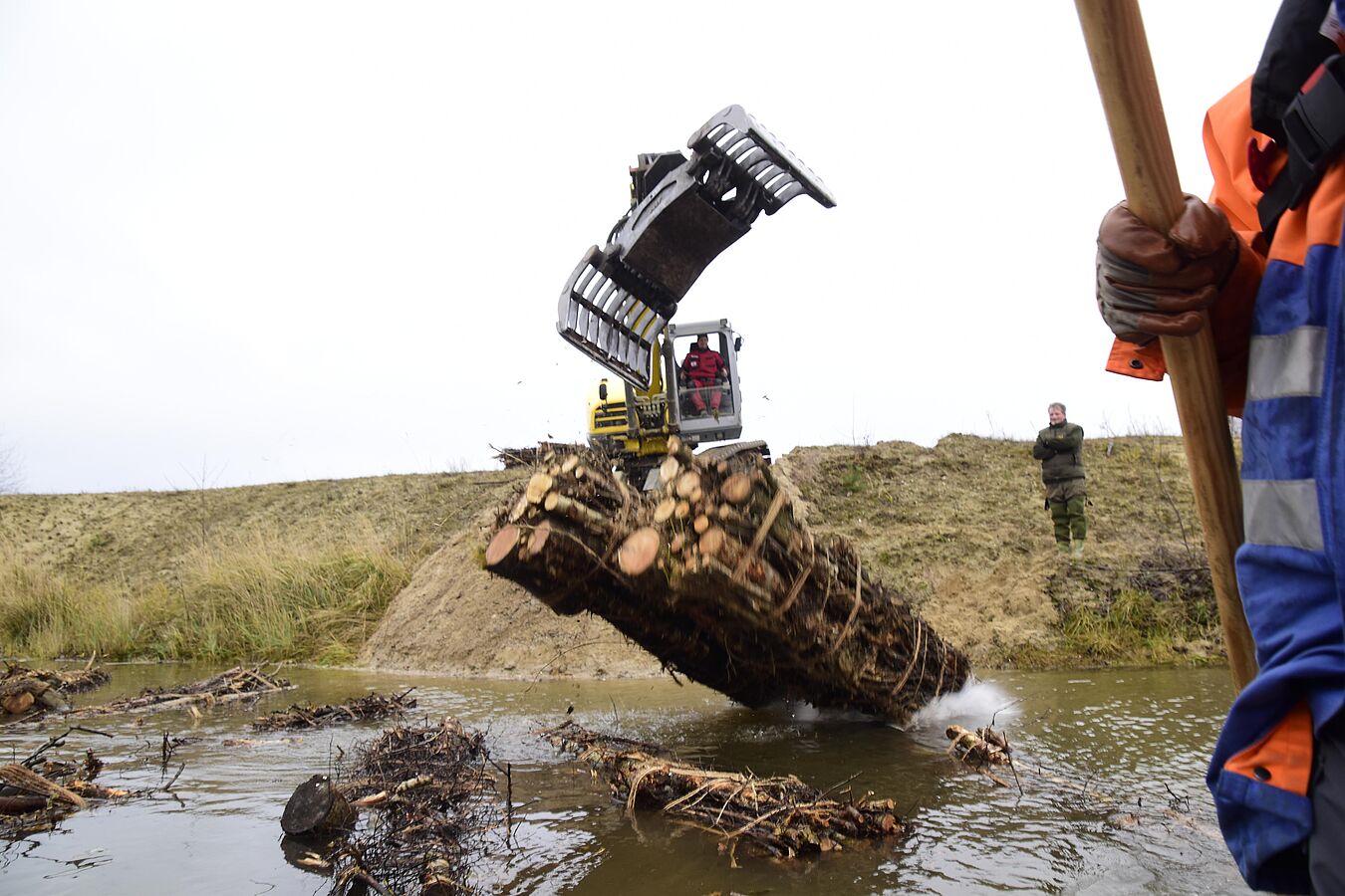 Totes Holz für mehr Leben im See