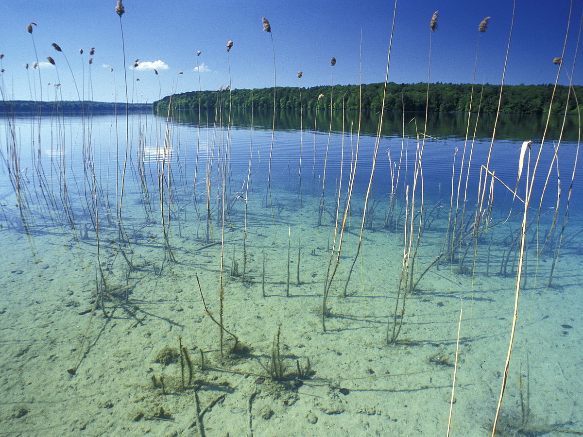 Am 22. März 2015 ist Weltwassertag – Schutz der Gewässer ist auch Klimaschutz