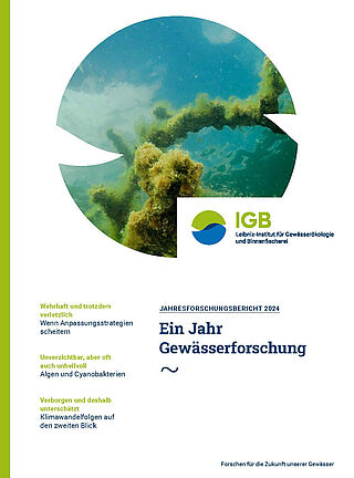 Cover IGB-Jahresbericht 2024