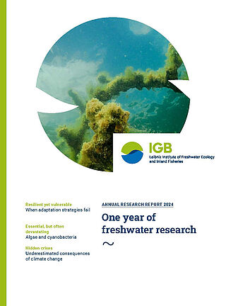 Cover IGB Annual report 2024