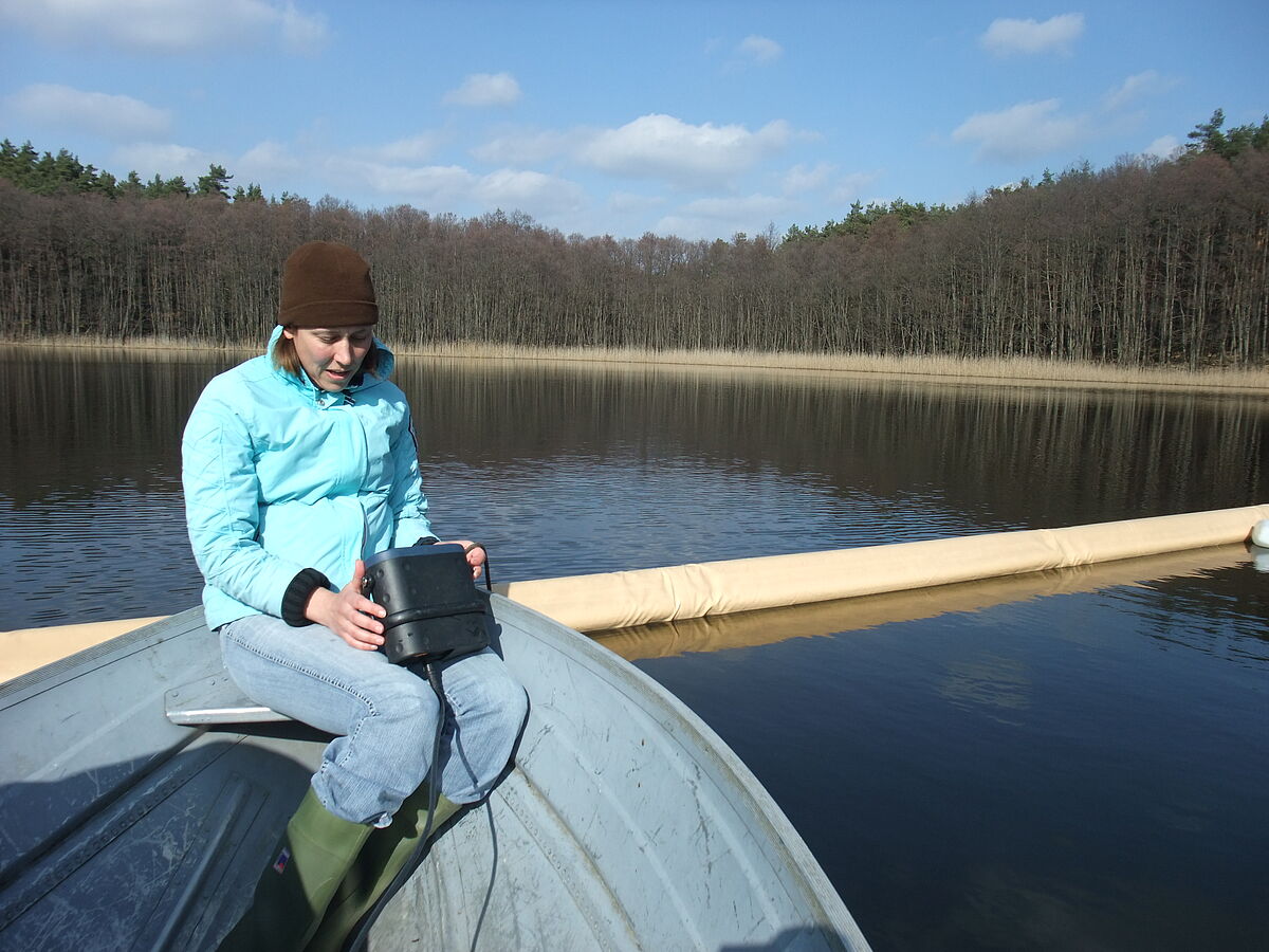 Zuckmücken und Blätter transportieren Kohlenstoff zwischen Wasser und Land