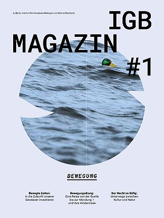 Auf dem hellgrauen Cover ist ein links und rechts eingeschnittener Kreis abgebildet. Im Kreis sind graublaue Wellen und ein grüner Entenkopf zu sehen.