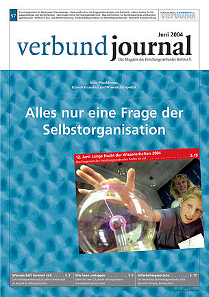 Cover 58/2004