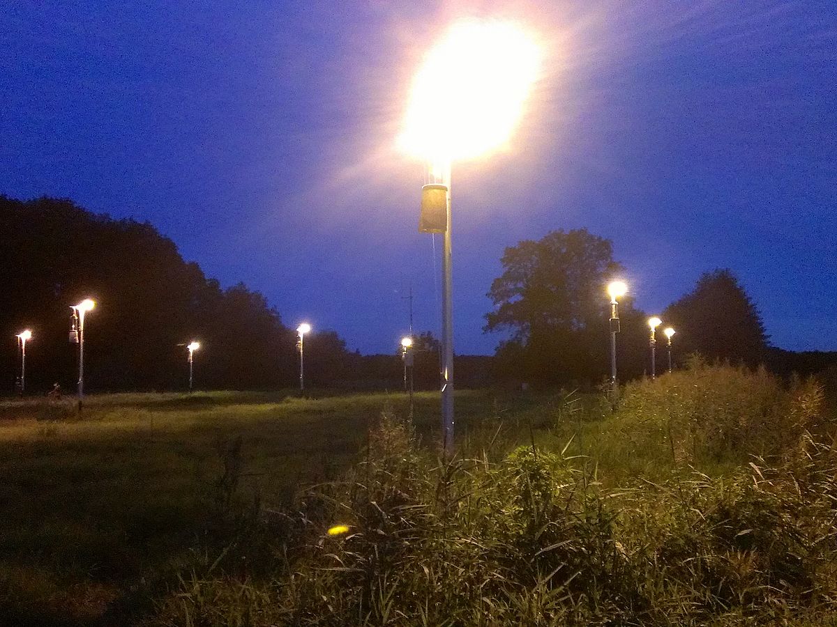 So fliegen die Motten zum Licht: Straßenleuchten wirken wie Barrieren in der Nachtlandschaft