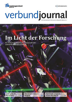Cover 95/2013
