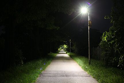 Insektenfreundliche Straßenbeleuchtung bei Nacht