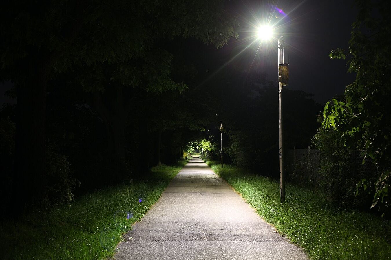 Insektenfreundliche Straßenbeleuchtung bei Nacht