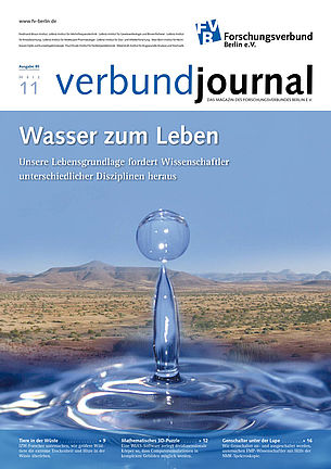 Cover 85/2011