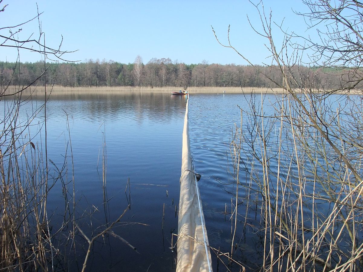 What the size distribution of organisms tells us about the energetic efficiency of a lake