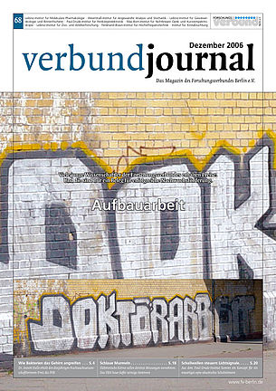 Cover 68/2006
