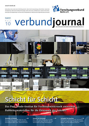 Cover 81/2010