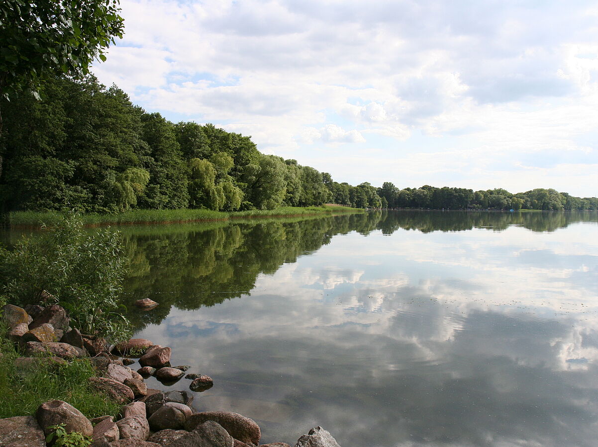 Kranke Seen – Was tun?