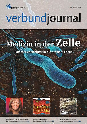 Cover 104/2016