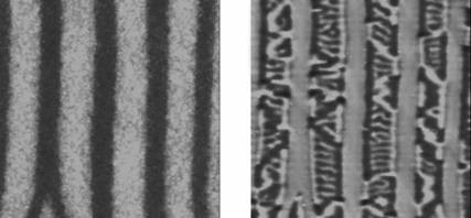 Nano-Waschbrett mit überraschenden Eigenschaften