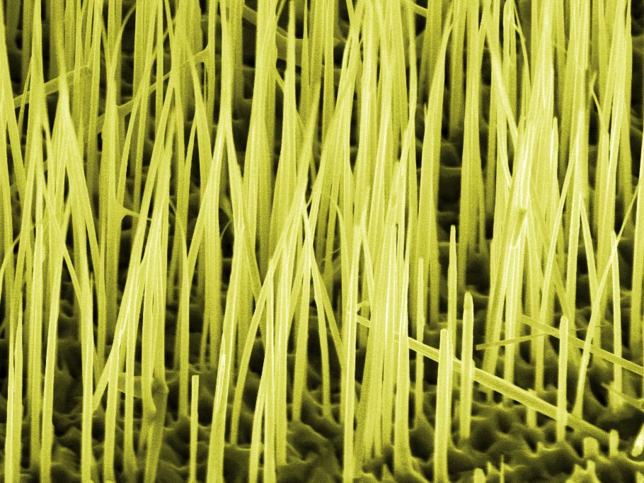 Nanosäulen leuchten besser ohne Gold