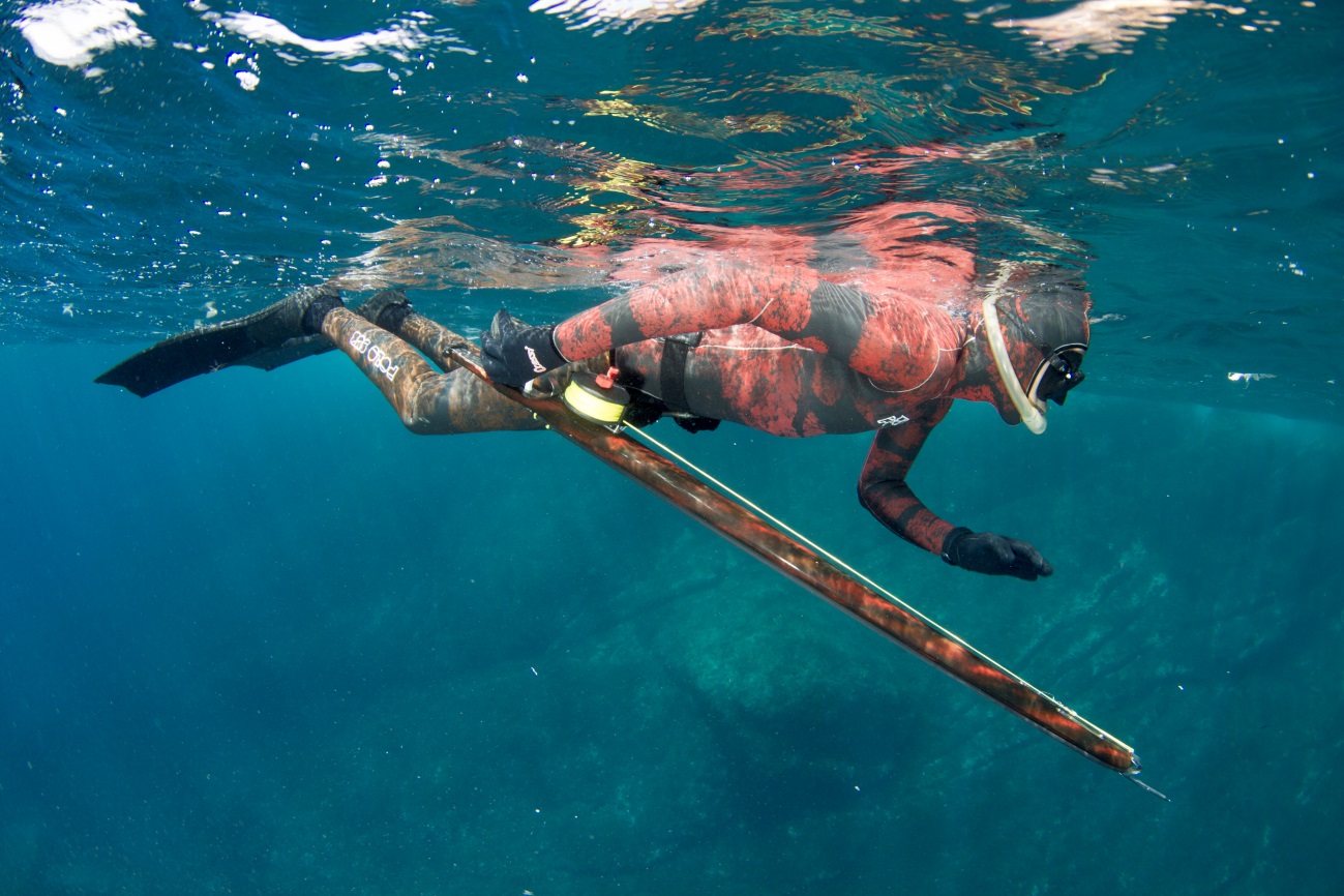 Spearfishing makes fishes more timid