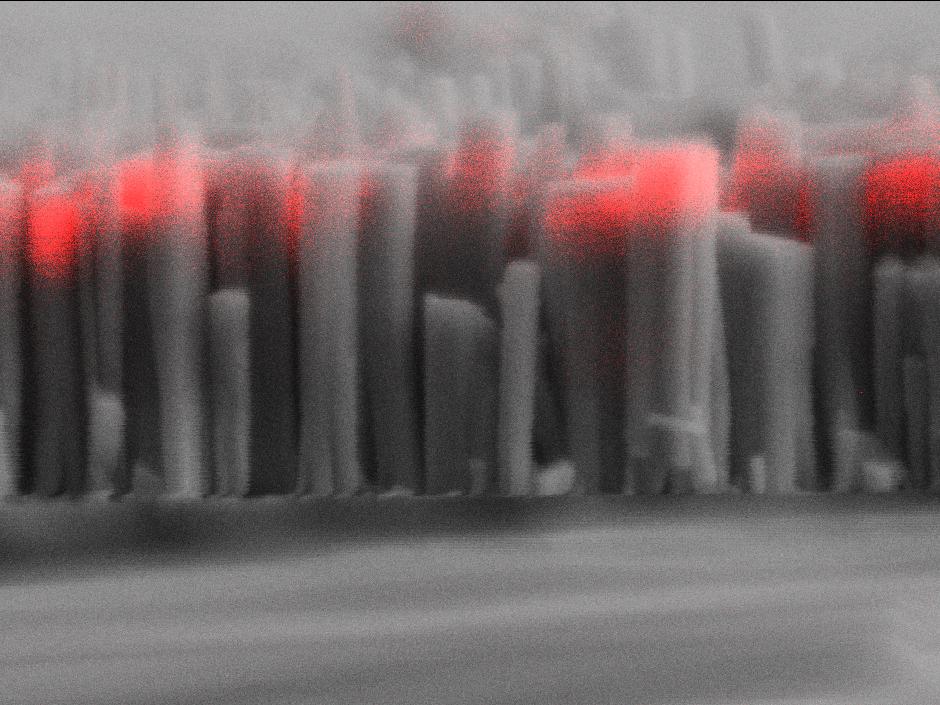 Weißes Licht aus Nanosäulen