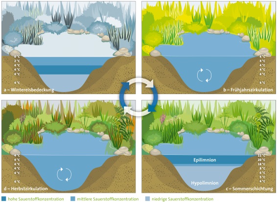 Wenn Seen ins Schwitzen kommen: Aktuelles IGB Dossier erläutert die Folgen des Klimawandels