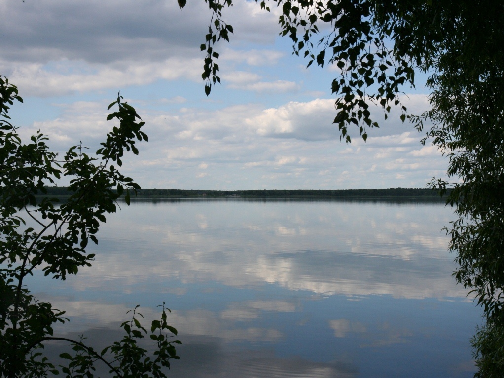 Wie kommen die Nährstoffe in den Arendsee?