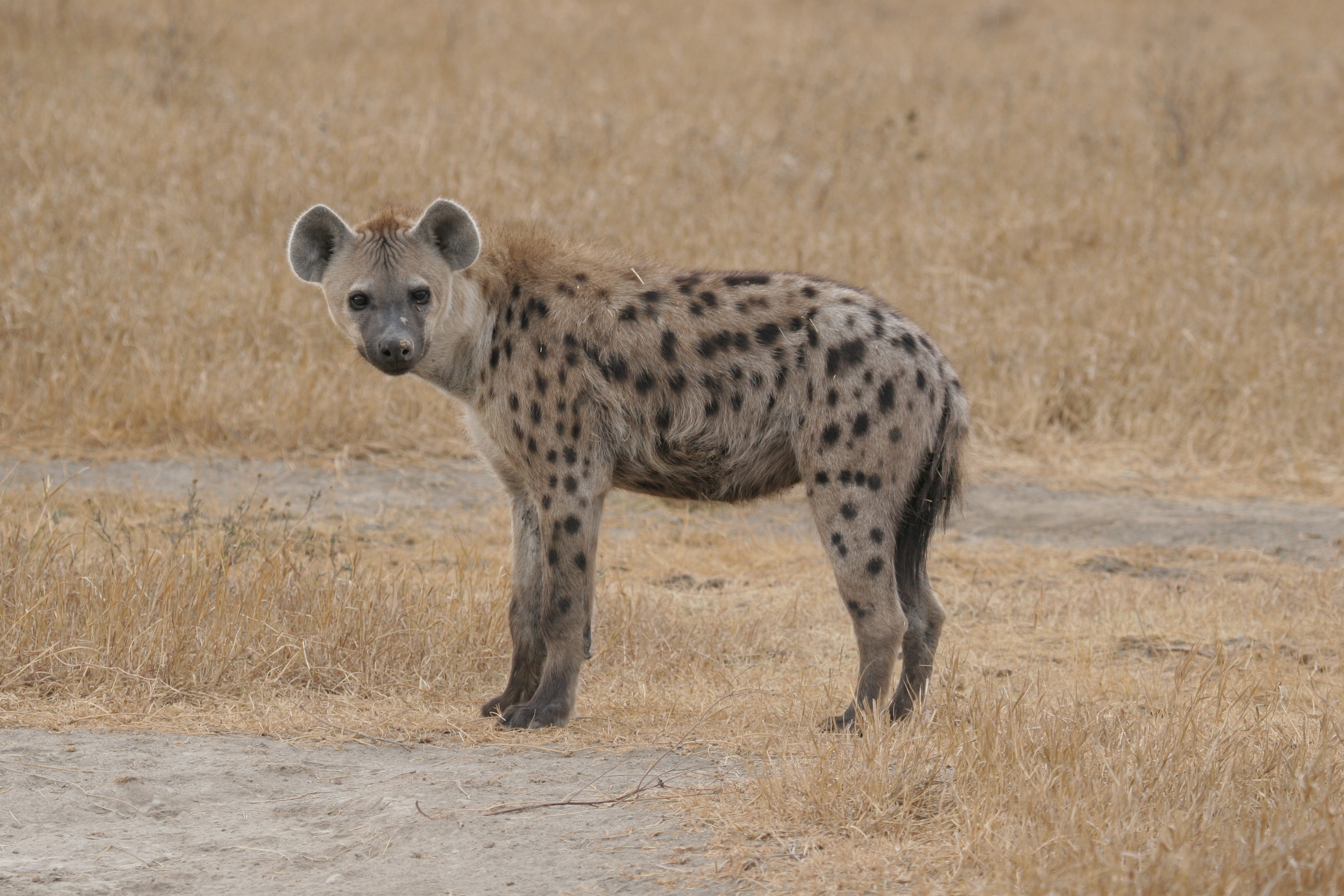 Forschungsverbund Berlin e.V. News