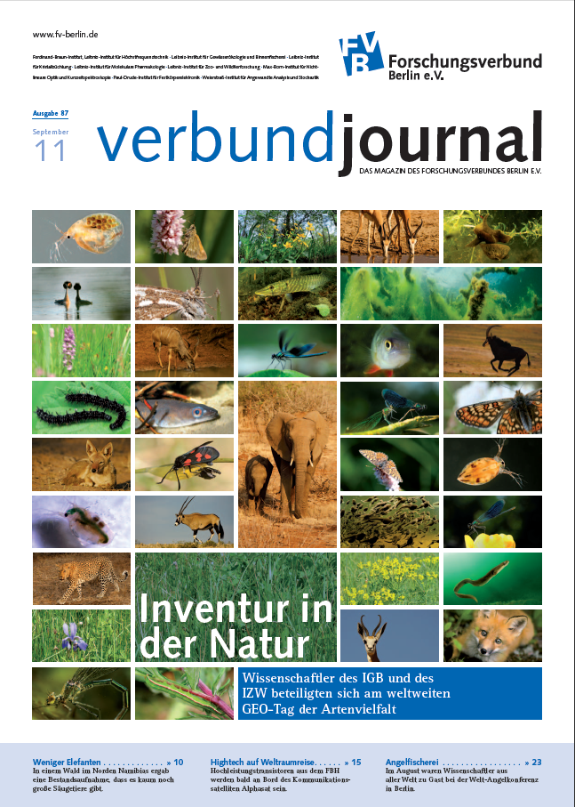 Cover 87/2011